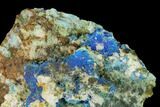 Vibrant Blue Chalcanthite - Mina Ojuela, Mexico #136850-1